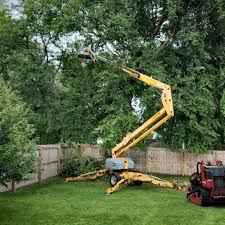 Best Artificial Turf Installation  in Augusta, WI